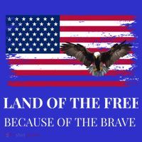 Independence Day Land Of The Free Because Of The Brave Gift T-Shirt thumb 7
