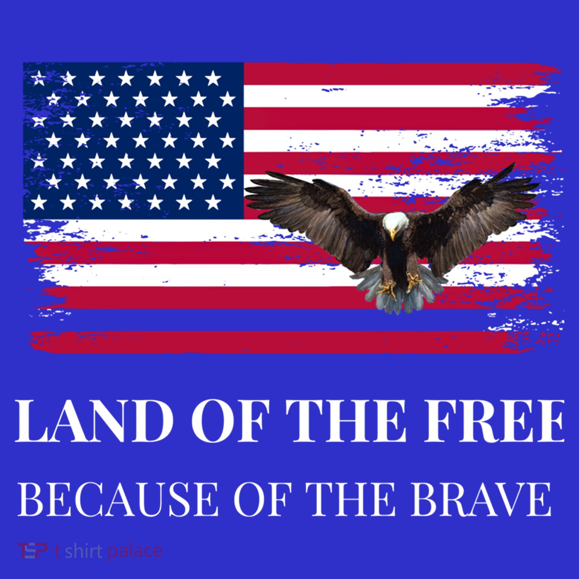 Independence Day Land Of The Free Because Of The Brave Gift Women's Tank Top