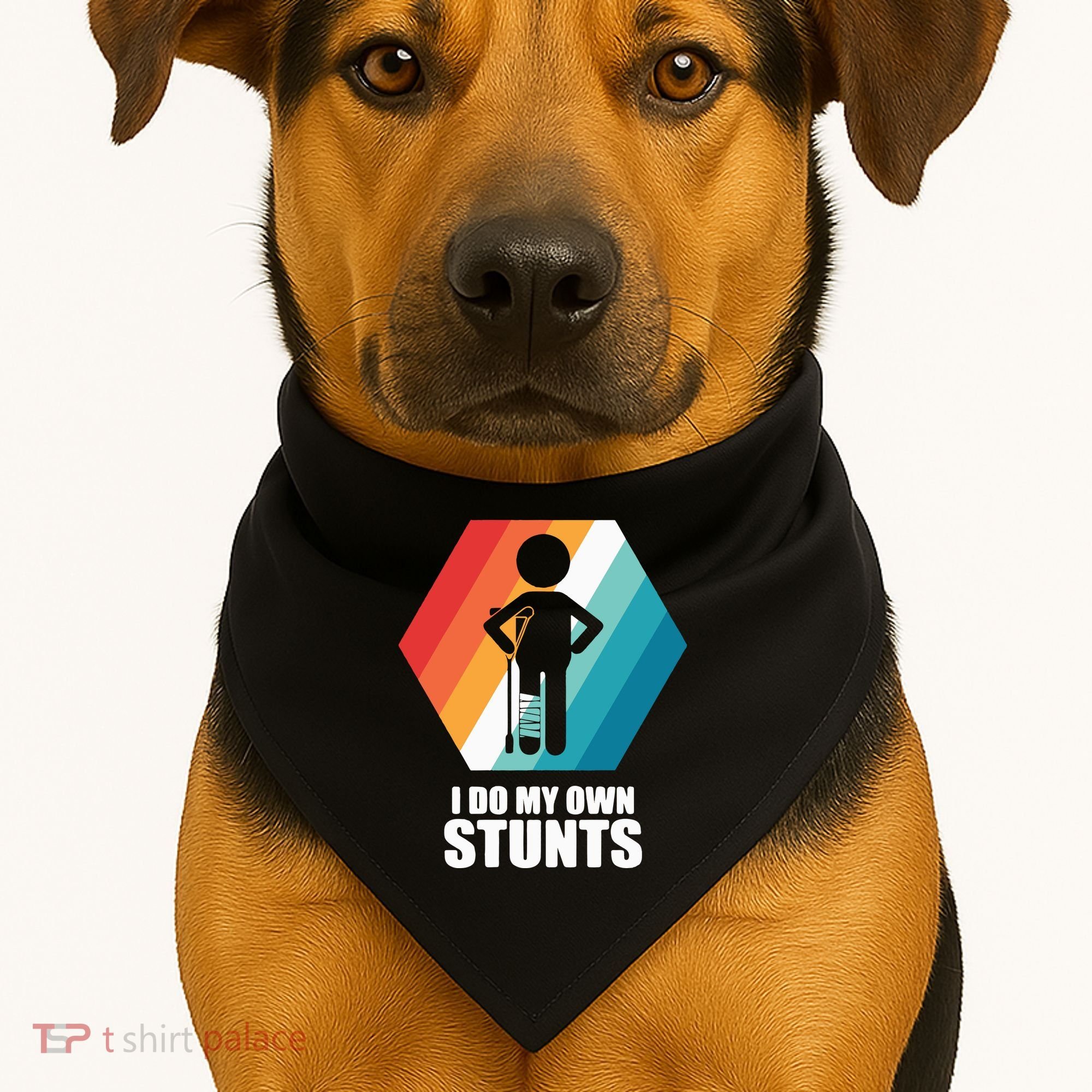 I Do My Own Stunts Funny Broken Leg Feet Injury Get Well Soon USA-Made Doggie Bandana
