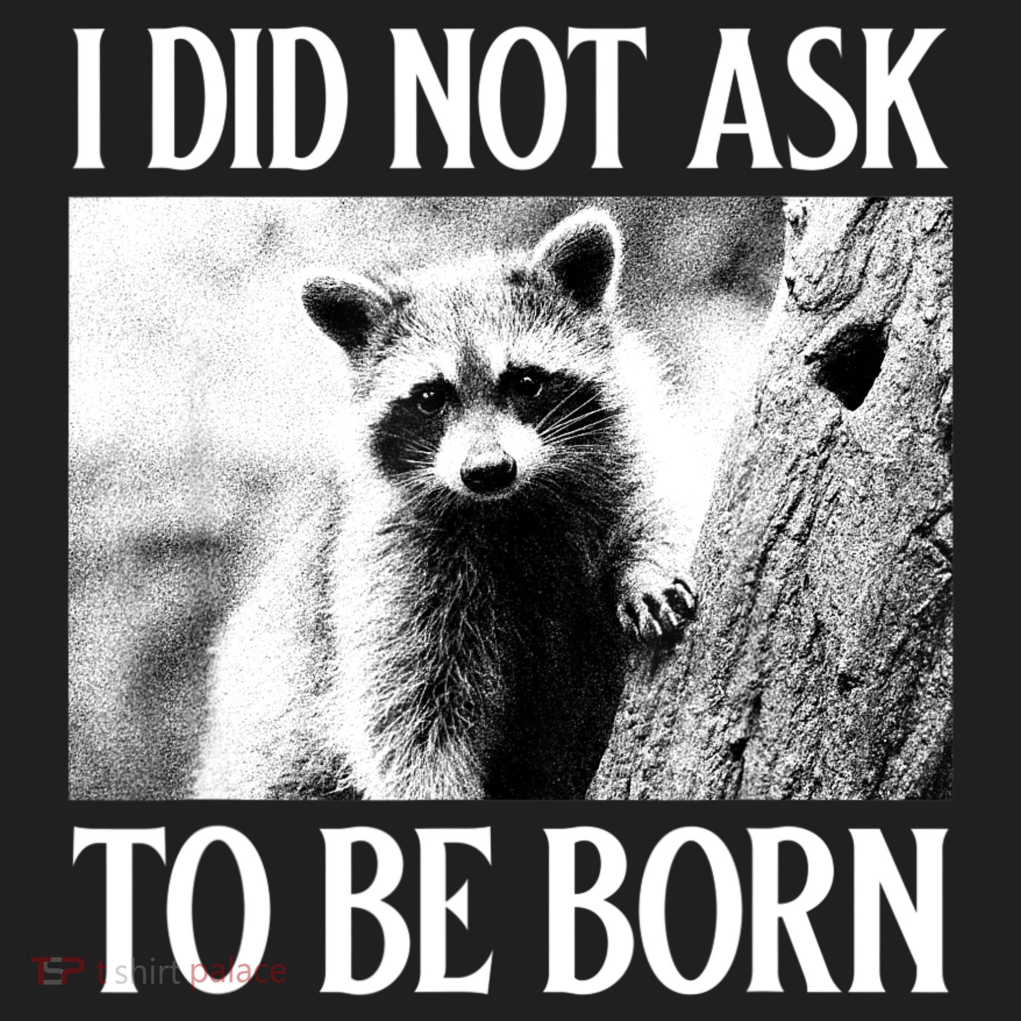 I Did Not Ask To Be Born Raccoon Lovers Garbage Trash Panda Beanie