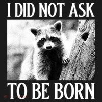 I Did Not Ask To Be Born Raccoon Lovers Garbage Trash Panda Women's Hoodie thumb 2