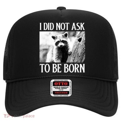 I Did Not Ask To Be Born Raccoon Lovers Garbage Trash Panda Hat