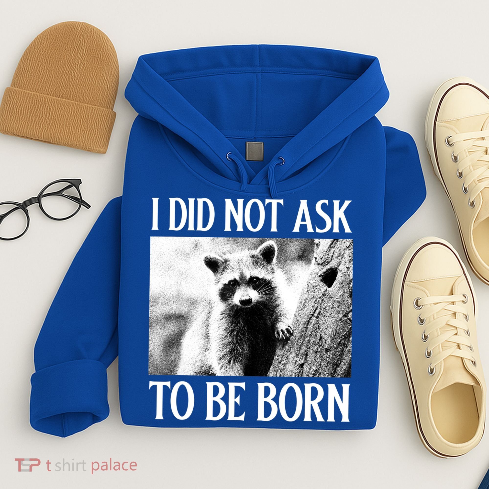 I Did Not Ask To Be Born Raccoon Lovers Garbage Trash Panda Hoodie