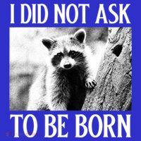 I Did Not Ask To Be Born Raccoon Lovers Garbage Trash Panda Sweatshirt thumb 3