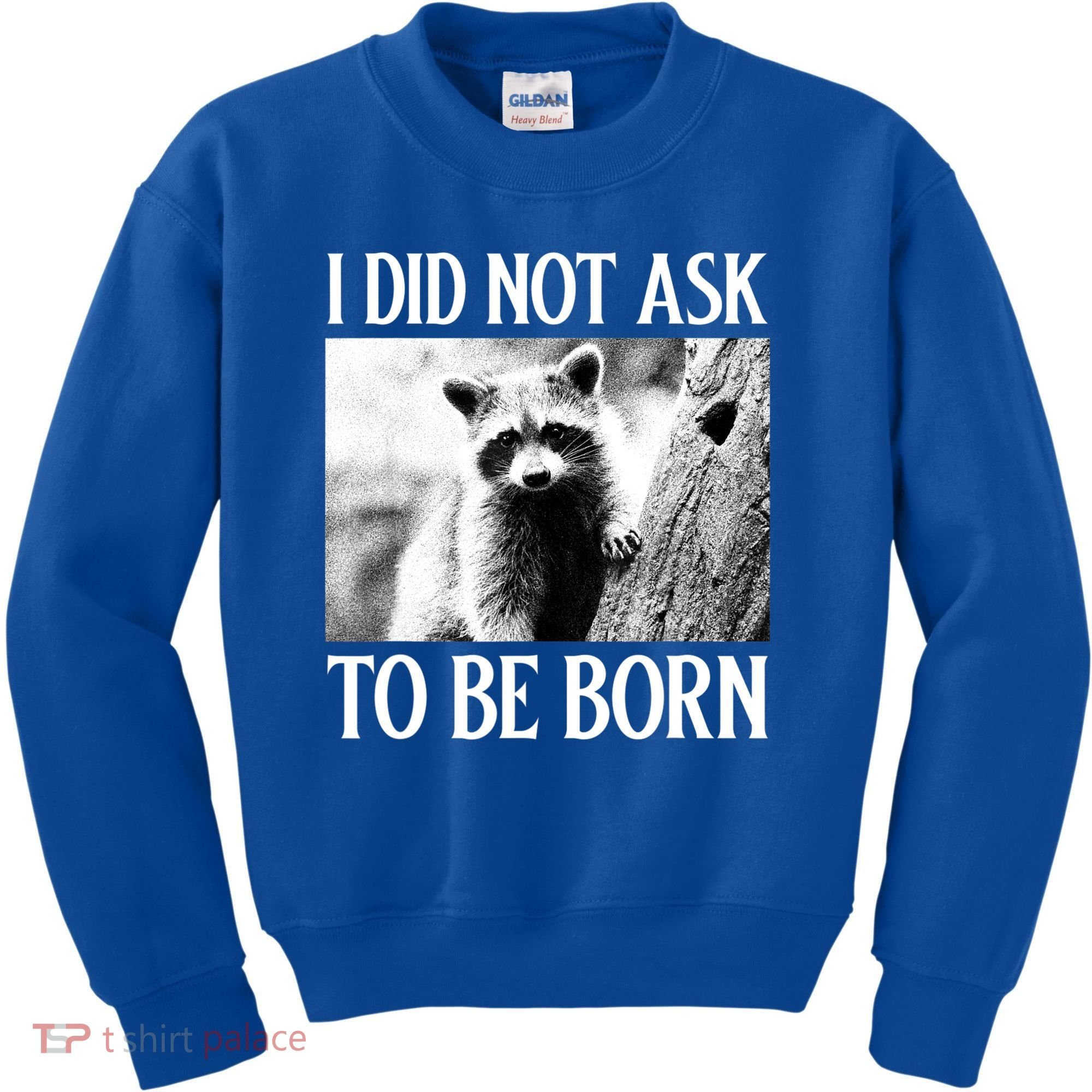 I Did Not Ask To Be Born Raccoon Lovers Garbage Trash Panda Kids Sweatshirt