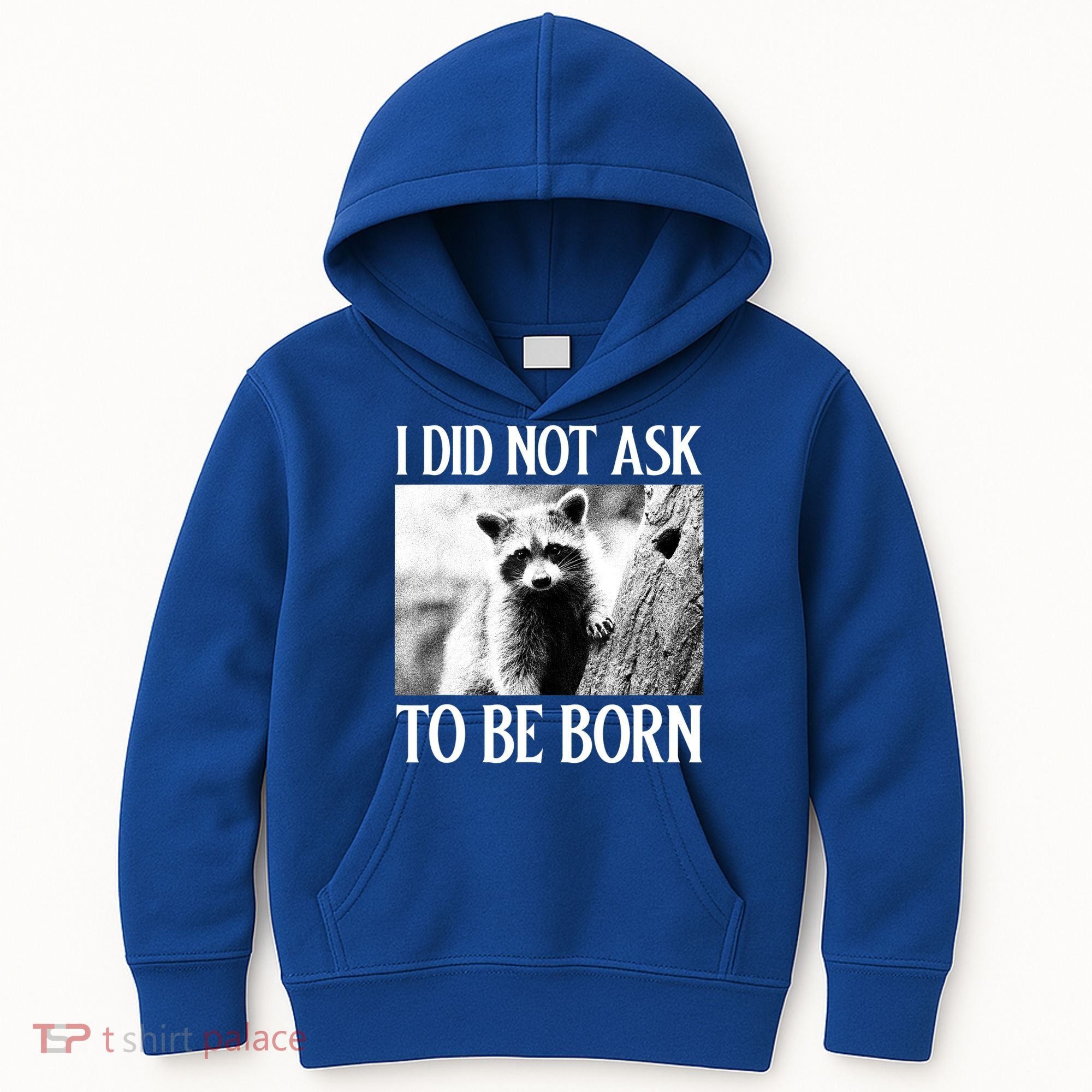I Did Not Ask To Be Born Raccoon Lovers Garbage Trash Panda Kids Hoodie