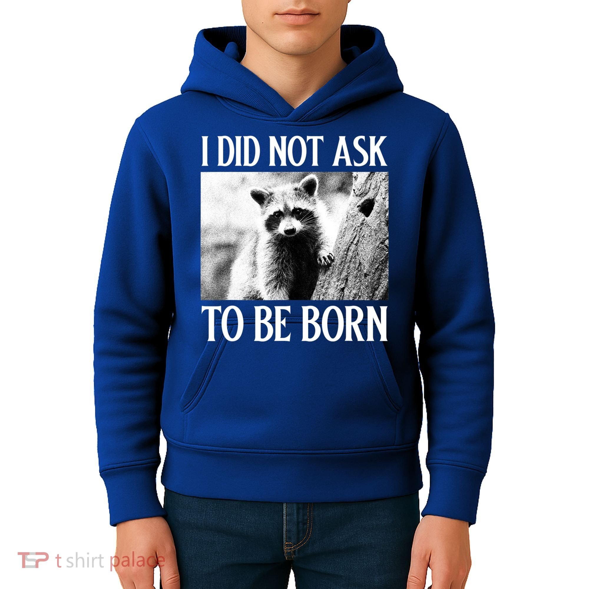 I Did Not Ask To Be Born Raccoon Lovers Garbage Trash Panda Kids Hoodie