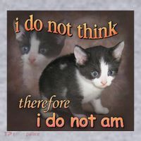 I Do Not Think Therefore I Do Not Am Cat Meme Women's Sweatshirt thumb 2