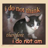 I Do Not Think Therefore I Do Not Am Cat Meme Tote Bag thumb 4