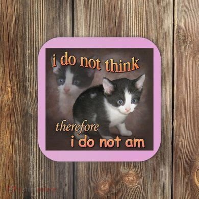 I Do Not Think Therefore I Do Not Am Cat Meme Coaster
