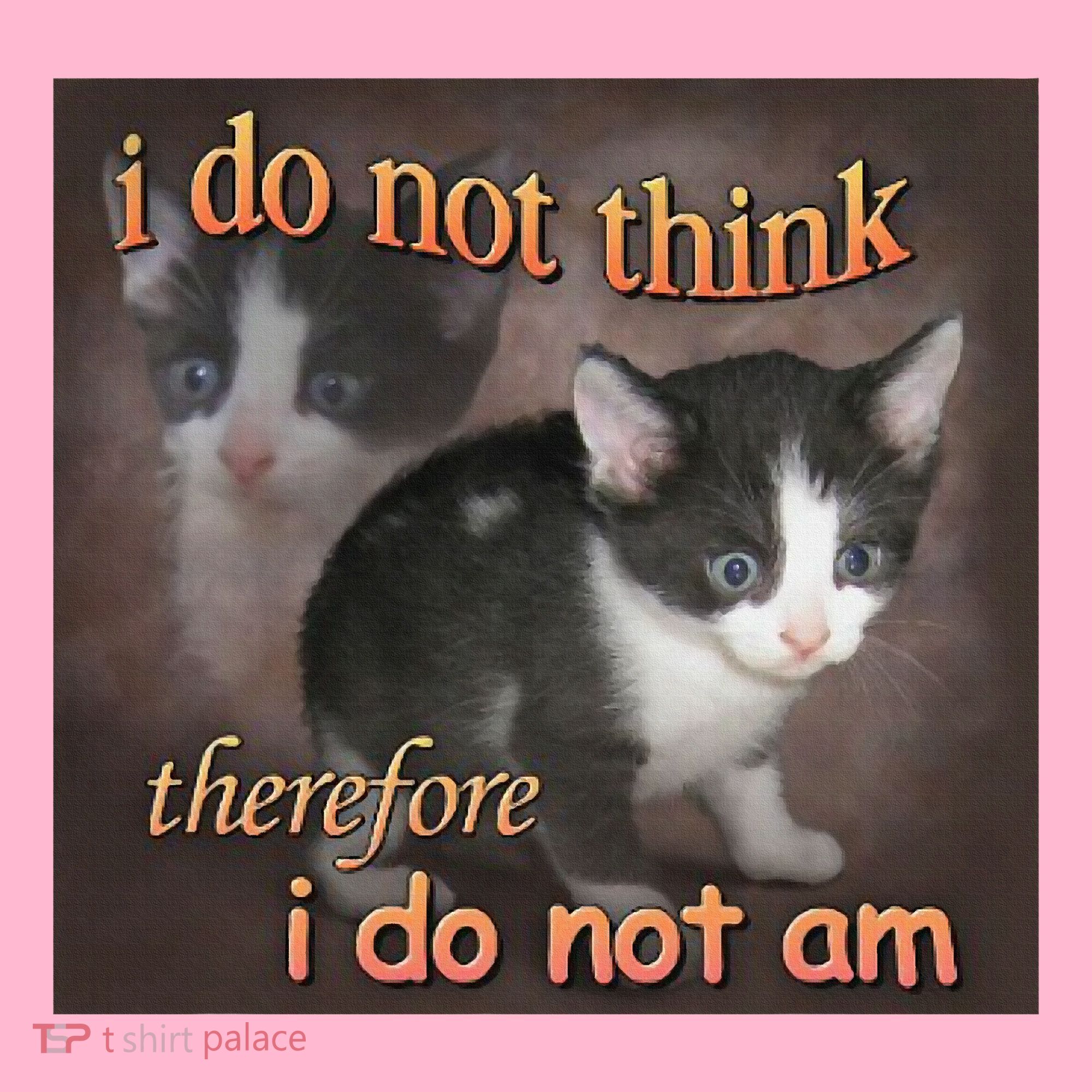I Do Not Think Therefore I Do Not Am Cat Meme Coaster
