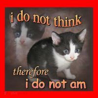 I Do Not Think Therefore I Do Not Am Cat Meme Santa Hat thumb 1