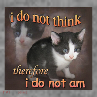 I Do Not Think Therefore I Do Not Am Cat Meme Toddler Hoodie thumb 2