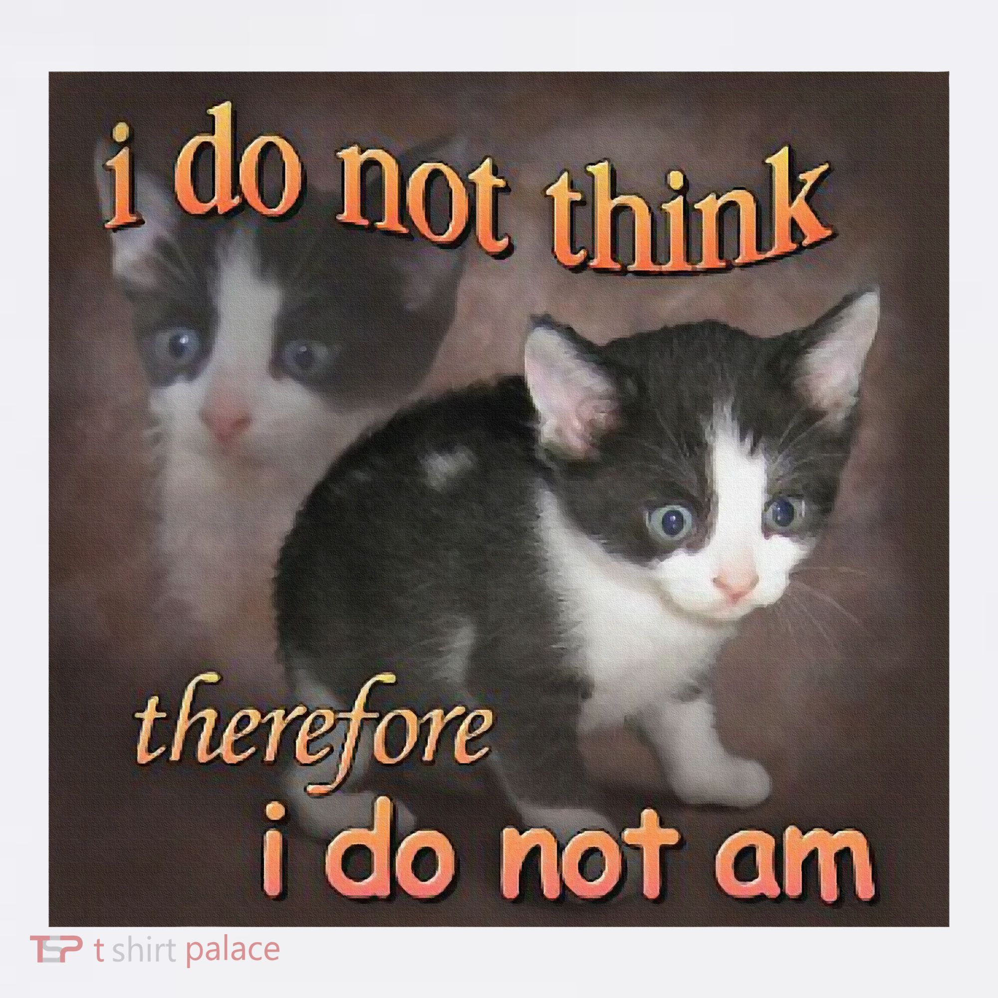 I Do Not Think Therefore I Do Not Am Cat Meme T-Shirt