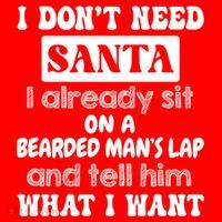 I DonT Need Santa I Already Sit On A Bearded ManS Lap Toddler Hoodie thumb 2