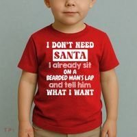 I DonT Need Santa I Already Sit On A Bearded ManS Lap Toddler T-Shirt thumb 2