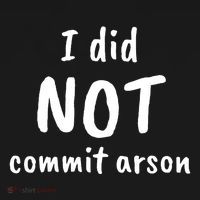I Did Not Commit Arson Quote USA-Made Doggie Bandana thumb 2