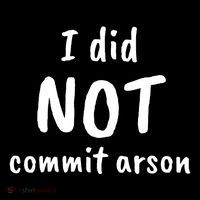 I Did Not Commit Arson Quote Women's Hoodie thumb 2
