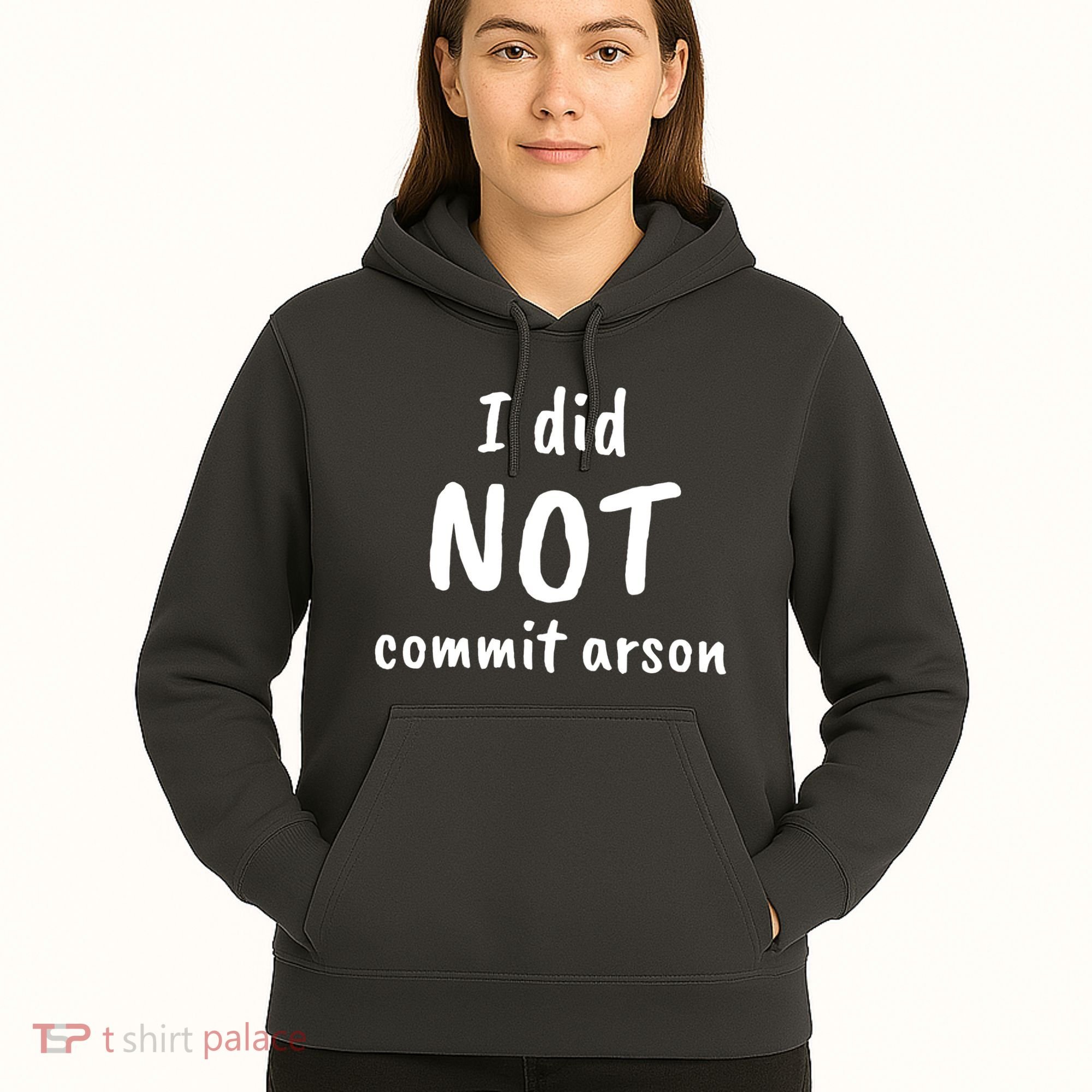 I Did Not Commit Arson Quote Hoodie