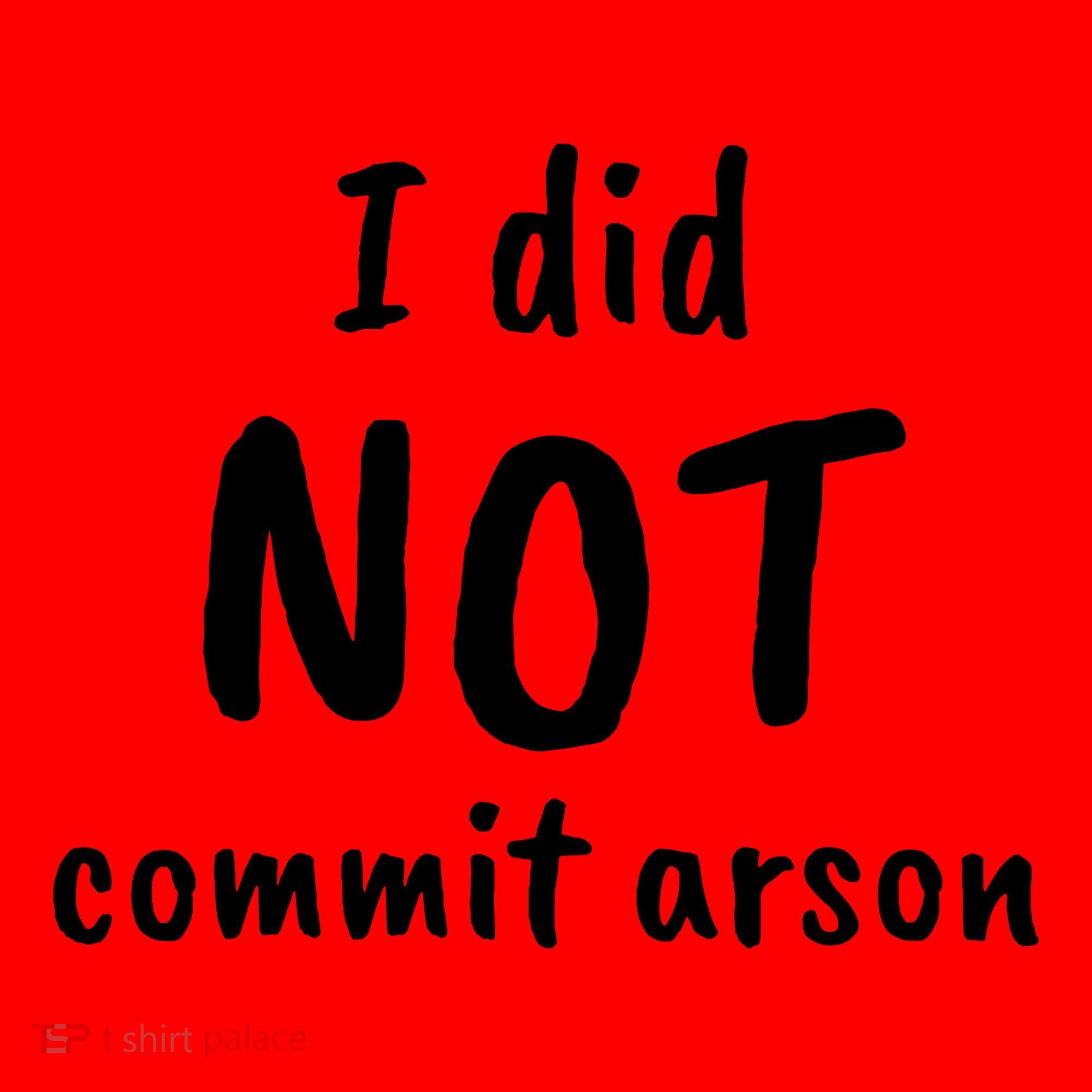 I Did Not Commit Arson Quote Santa Hat