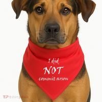 I Did Not Commit Arson Funny Quote USA-Made Doggie Bandana thumb 1