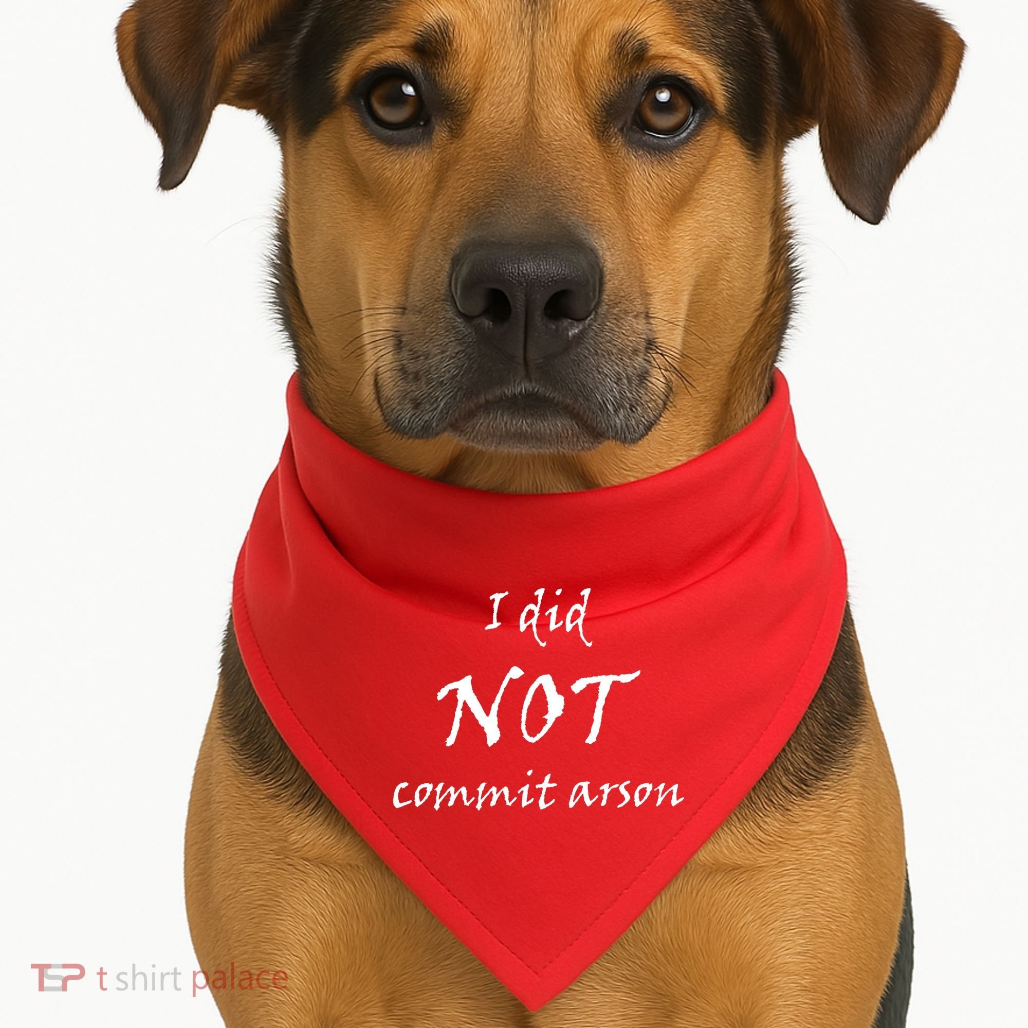 I Did Not Commit Arson Funny Quote USA-Made Doggie Bandana