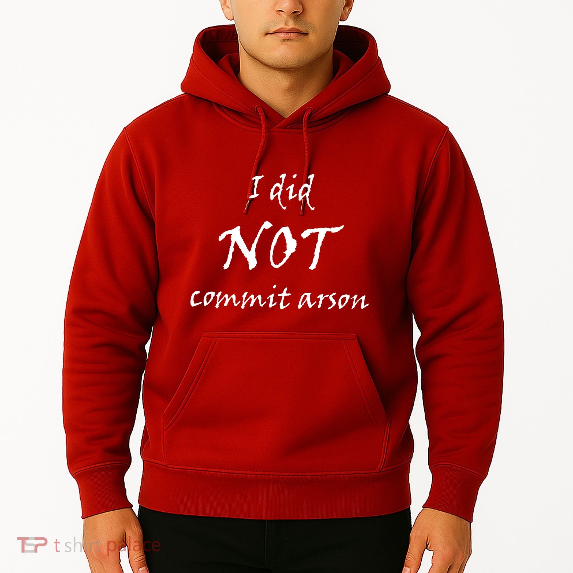 I Did Not Commit Arson Funny Quote Hoodie