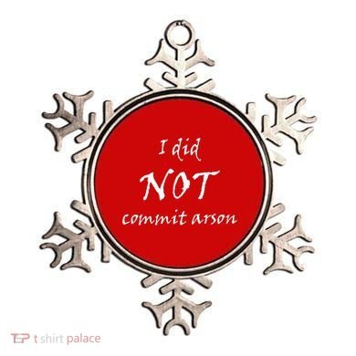 I Did Not Commit Arson Funny Quote Ornament