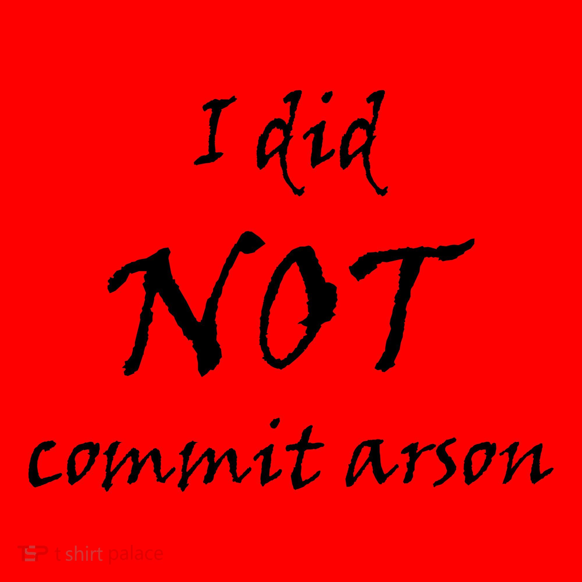 I Did Not Commit Arson Funny Quote Santa Hat