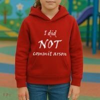 I Did Not Commit Arson Funny Quote Kids Hoodie thumb 3