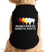 Ihanktonwan Dakota Oyate Yankton Sioux Medicine Wheel Doggie Tank thumb 0
