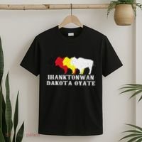 Ihanktonwan Dakota Oyate Yankton Sioux Medicine Wheel T-Shirt thumb 2