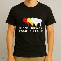 Ihanktonwan Dakota Oyate Yankton Sioux Medicine Wheel T-Shirt thumb 3