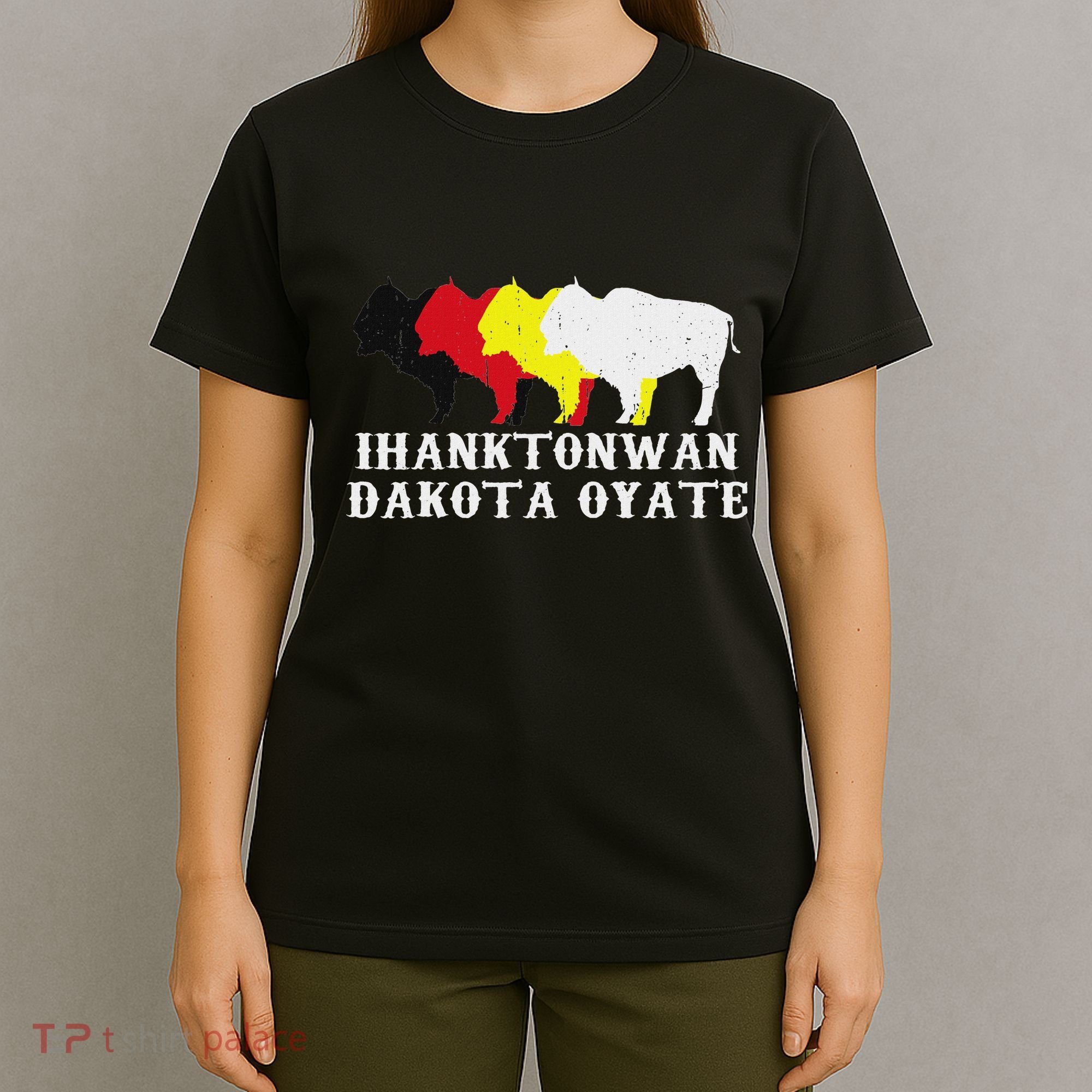 Ihanktonwan Dakota Oyate Yankton Sioux Medicine Wheel T-Shirt