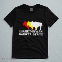 Ihanktonwan Dakota Oyate Yankton Sioux Medicine Wheel T-Shirt thumb 5