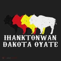 Ihanktonwan Dakota Oyate Yankton Sioux Medicine Wheel Beanie thumb 2