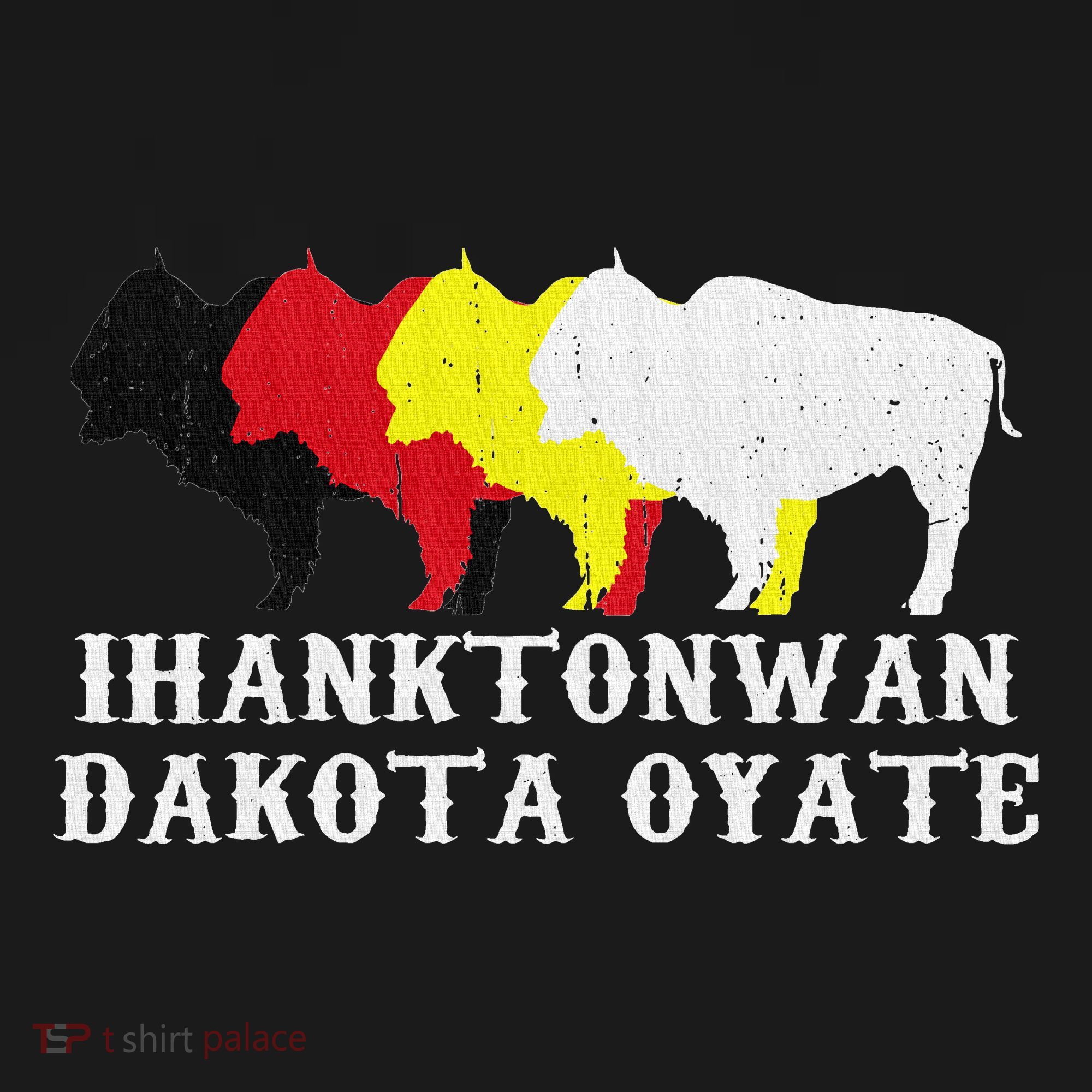 Ihanktonwan Dakota Oyate Yankton Sioux Medicine Wheel Women's Hoodie