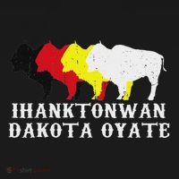 Ihanktonwan Dakota Oyate Yankton Sioux Medicine Wheel Ornament thumb 1