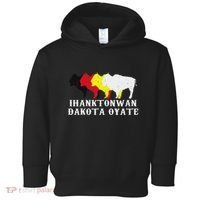 Ihanktonwan Dakota Oyate Yankton Sioux Medicine Wheel Toddler Hoodie thumb 0