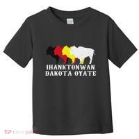 Ihanktonwan Dakota Oyate Yankton Sioux Medicine Wheel Toddler T-Shirt thumb 0
