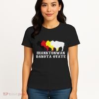 Ihanktonwan Dakota Oyate Yankton Sioux Medicine Wheel Women's T-Shirt thumb 4
