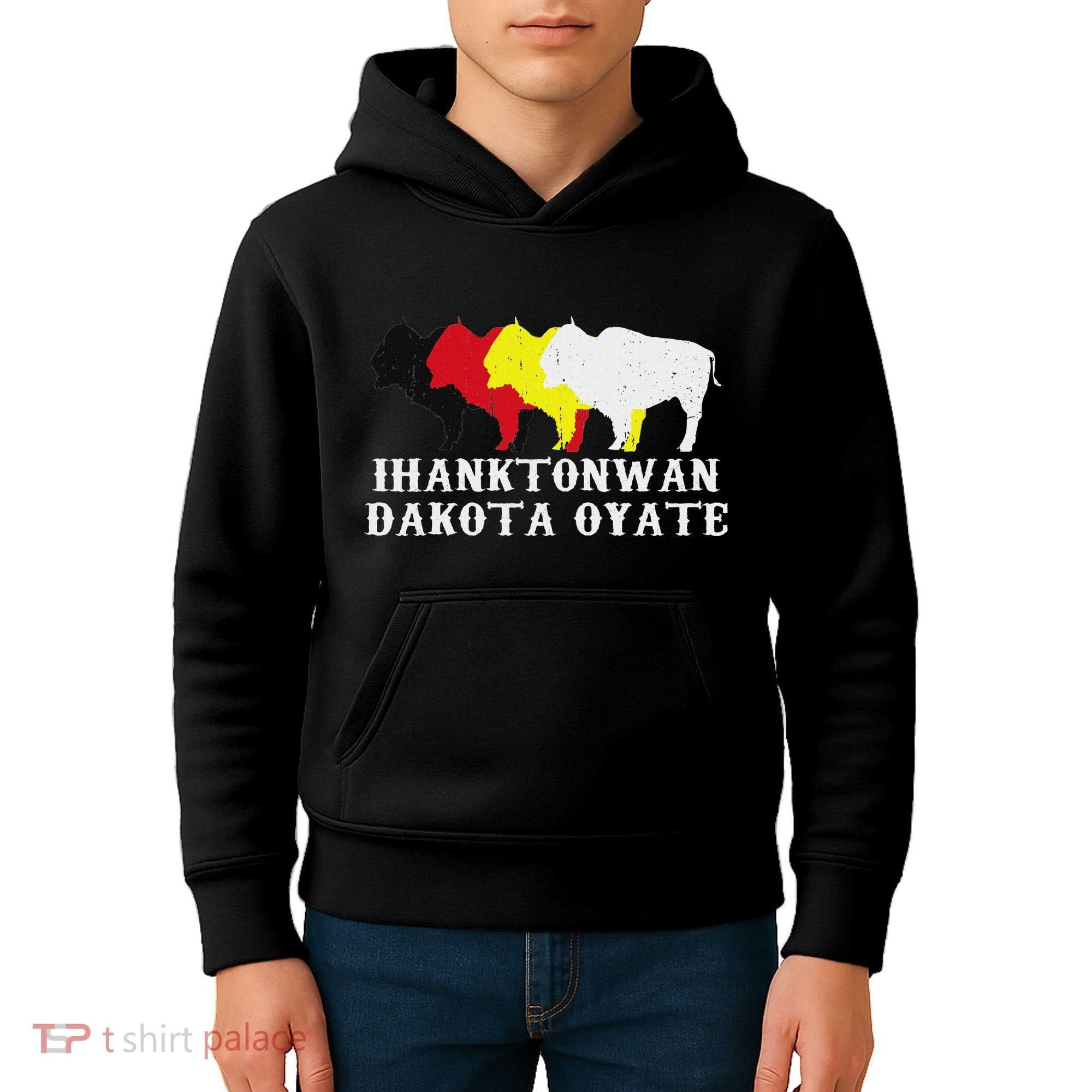 Ihanktonwan Dakota Oyate Yankton Sioux Medicine Wheel Kids Hoodie