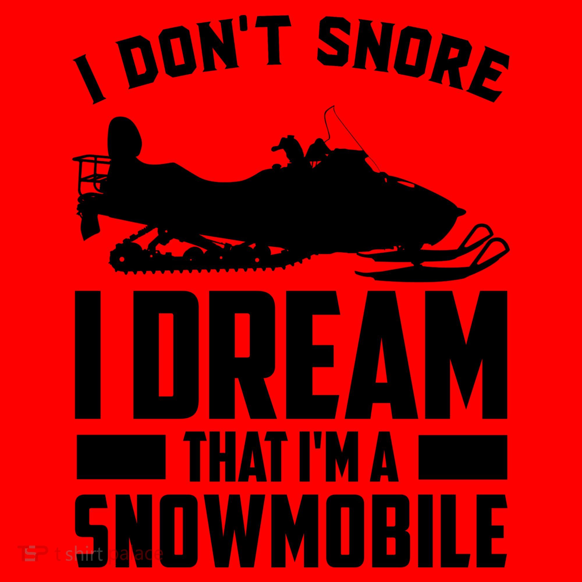 I Don't Snore I Dream That I'm A Snowmobile Santa Hat