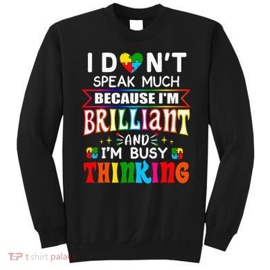 I Dont Speak Much Brilliant Autism Autistic Gift Sweatshirt
