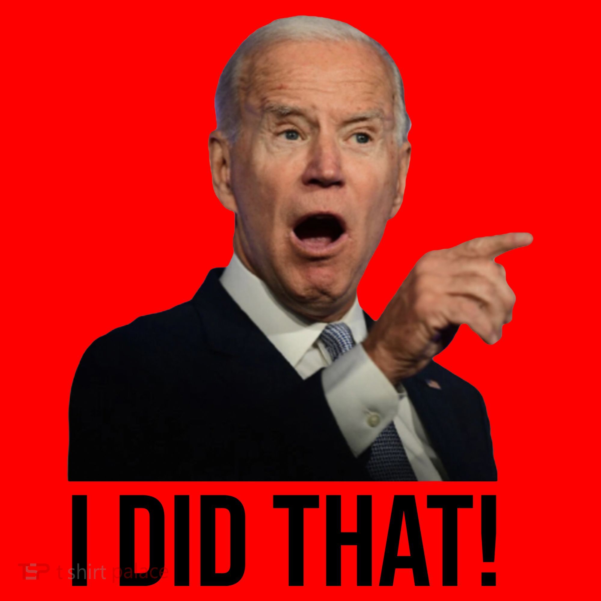 I Did That Funny Joe Biden Santa Hat