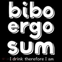 I Drink Therefore I Am Bibo Ergo Sum Philosophy Stripe Pom Pom Beanie thumb 2