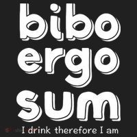 I Drink Therefore I Am Bibo Ergo Sum Philosophy Urban Oversized Heavyweight T-Shirt thumb 2