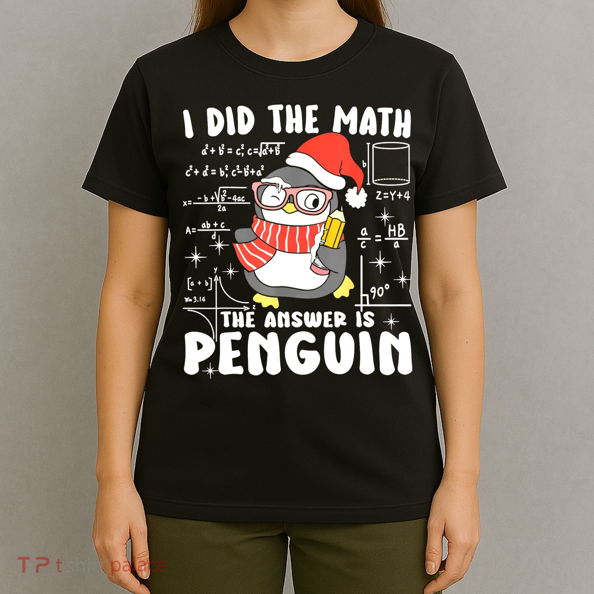 I Did The Math The Answer Is Penguin Christmas T-Shirt