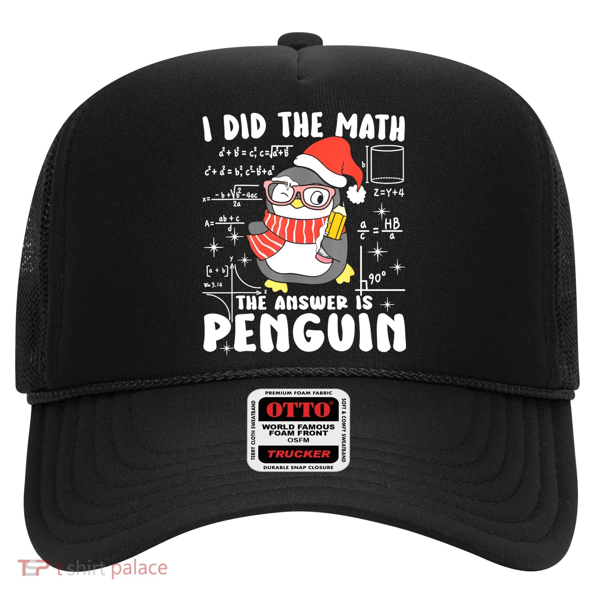 I Did The Math The Answer Is Penguin Christmas Hat