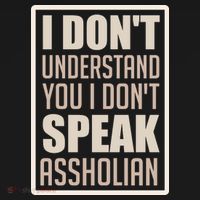 I Don't Understand You I Don't Speak Assholian Funny Ornament thumb 1